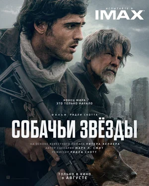 Собачьи звёзды постер